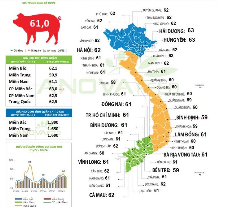 Giá heo hơi hôm nay 29/10/2024: Giá heo hơi hôm nay 29/10/2024: