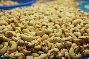 Mỹ là thị trường lớn nhất của hạt điều Việt Nam