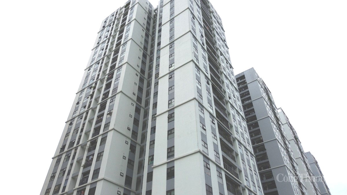 Mua căn hộ Phương Đông Green Park, người dân bất an vì dự án vướng loạt sai phạm