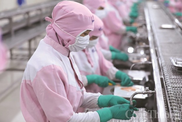 Xuất khẩu sang Anh: Giải bài toán thương hiệu để nâng cao thị phần