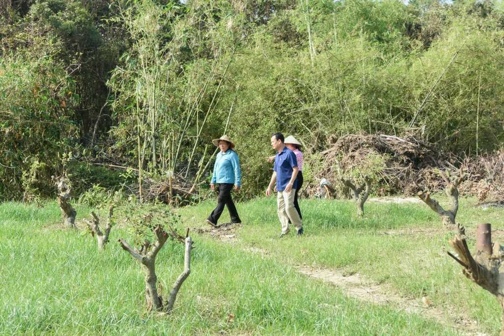 Quảng Ninh: Chung tay vượt qua khó khăn, tái thiết cuộc sống sau bão lũ Quảng Ninh: Chung tay vượt qua khó khăn, tái thiết cuộc sống sau bão lũ