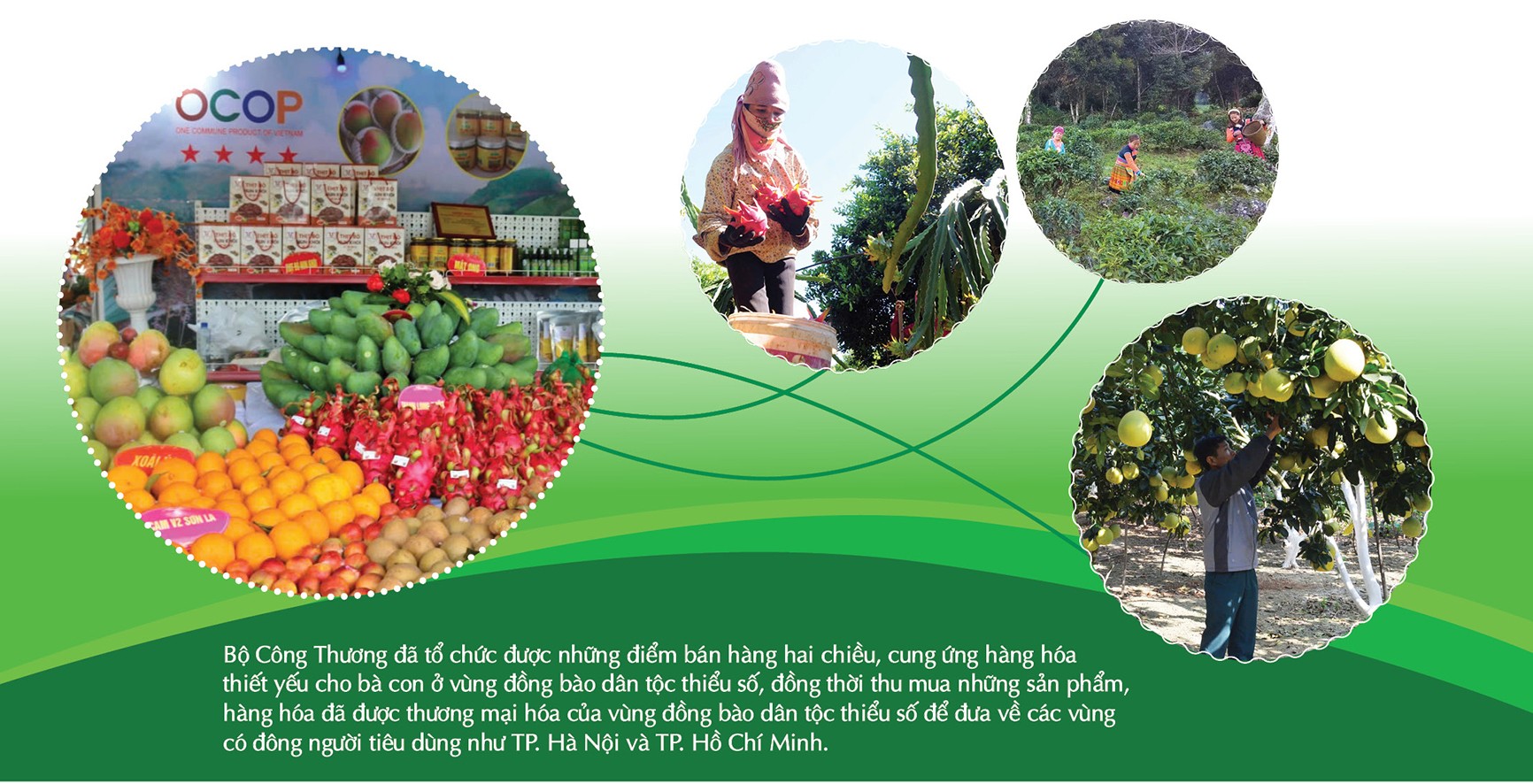 Chung tay xây dựng thương hiệu cho nông sản miền núi Chung tay xây dựng thương hiệu cho nông sản miền núi