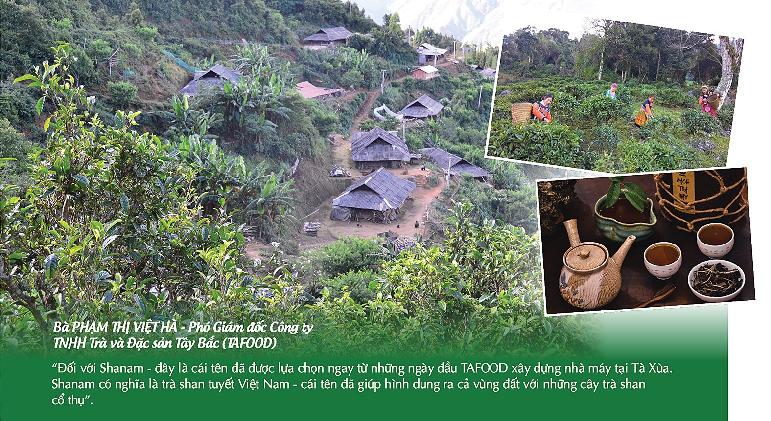 Chung tay xây dựng thương hiệu cho nông sản miền núi Chung tay xây dựng thương hiệu cho nông sản miền núi