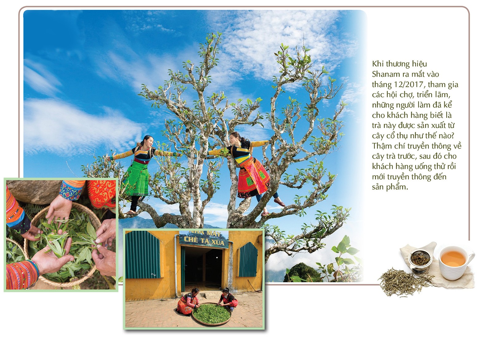 Chung tay xây dựng thương hiệu cho nông sản miền núi Chung tay xây dựng thương hiệu cho nông sản miền núi