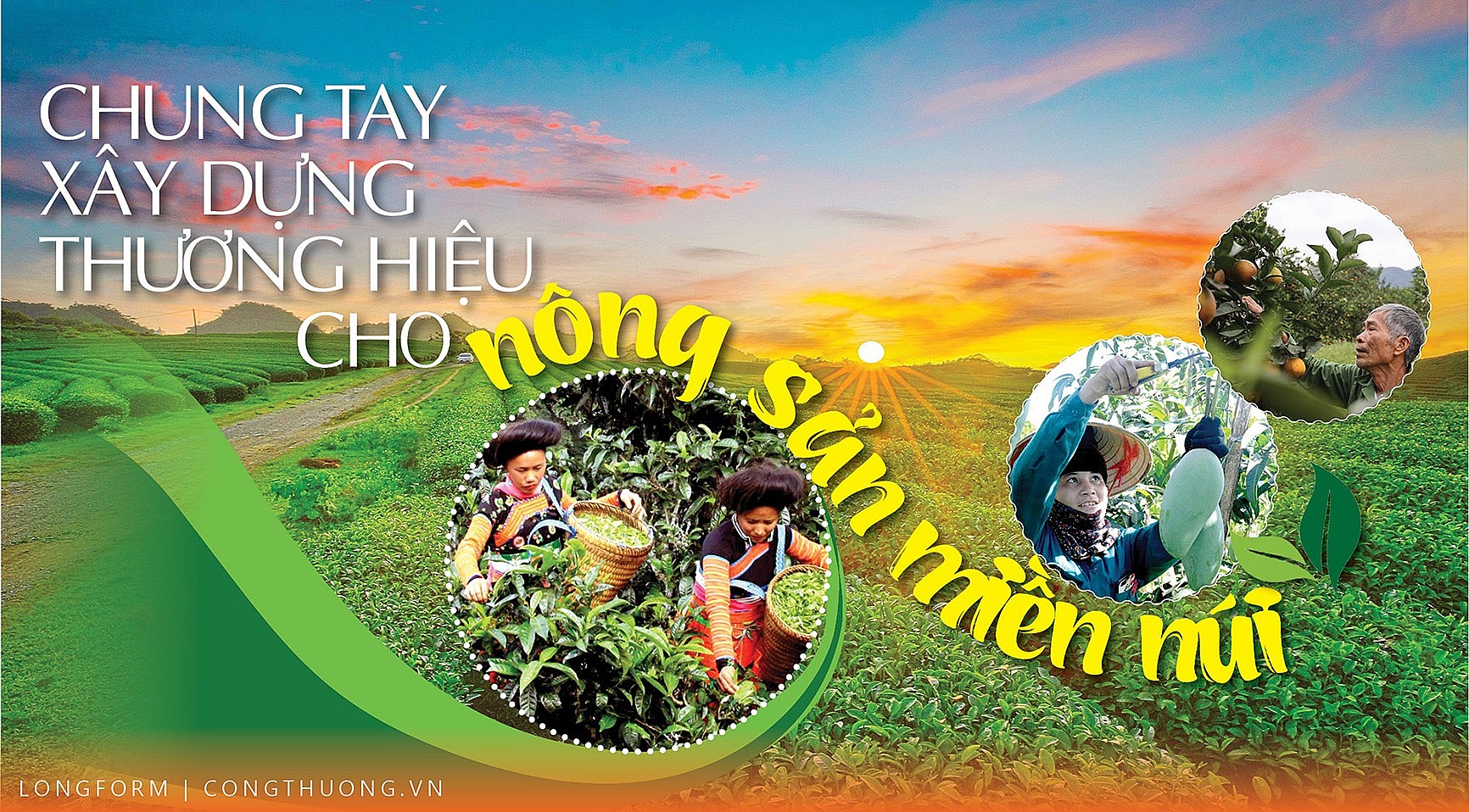 Chung tay xây dựng thương hiệu cho nông sản miền núi Chung tay xây dựng thương hiệu cho nông sản miền núi