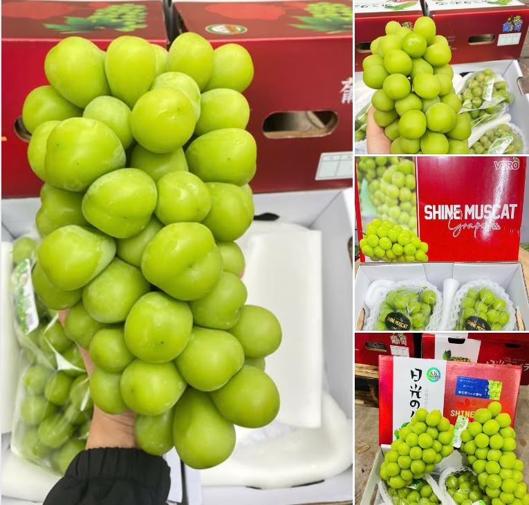 Nho sữa Trung Quốc bị Thái Lan cảnh báo được bán tràn lan ở TP. Hồ Chí Minh Nho sữa Trung Quốc bị Thái Lan cảnh báo được bán tràn lan ở TP. Hồ Chí Minh