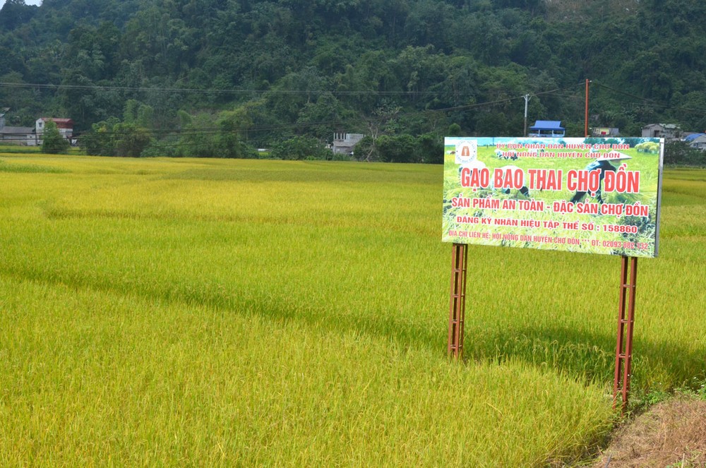 Xây dựng thương hiệu nông sản Bắc Kạn