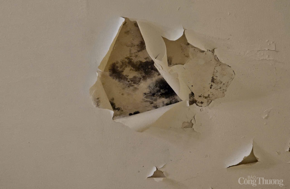 Điểm du lịch Dinh Bảo Đại tại Đà Lạt xuống cấp nghiêm trọng sau hơn 6 tháng dừng đón khách