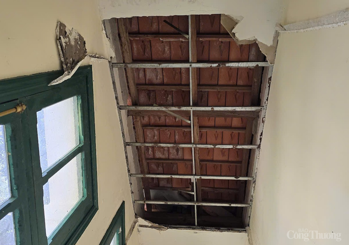 Điểm du lịch Dinh Bảo Đại tại Đà Lạt xuống cấp nghiêm trọng sau hơn 6 tháng dừng đón khách