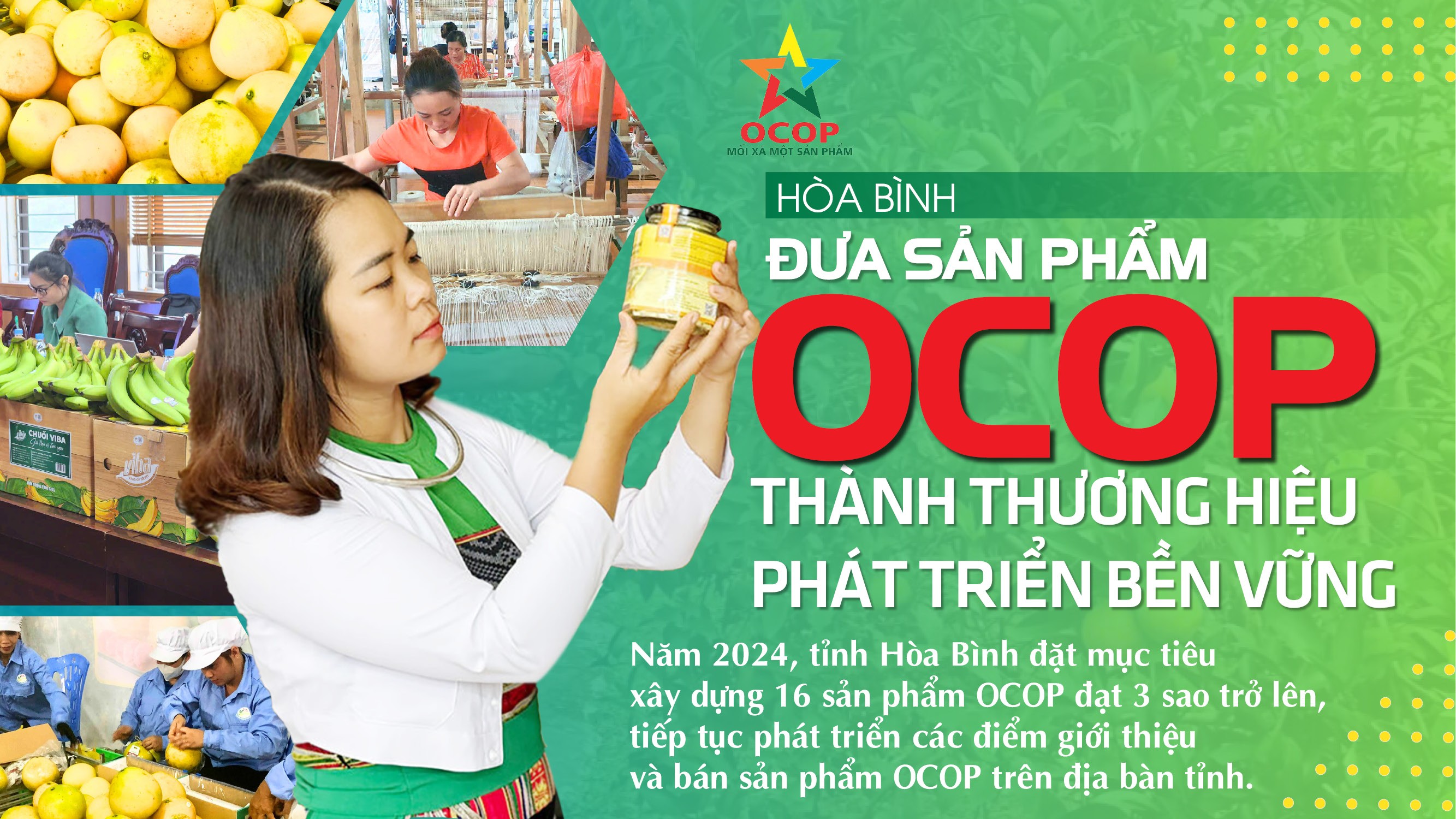 Đưa sản phẩm OCOP thành thương hiệu phát triển bền vững Đưa sản phẩm OCOP thành thương hiệu phát triển bền vững