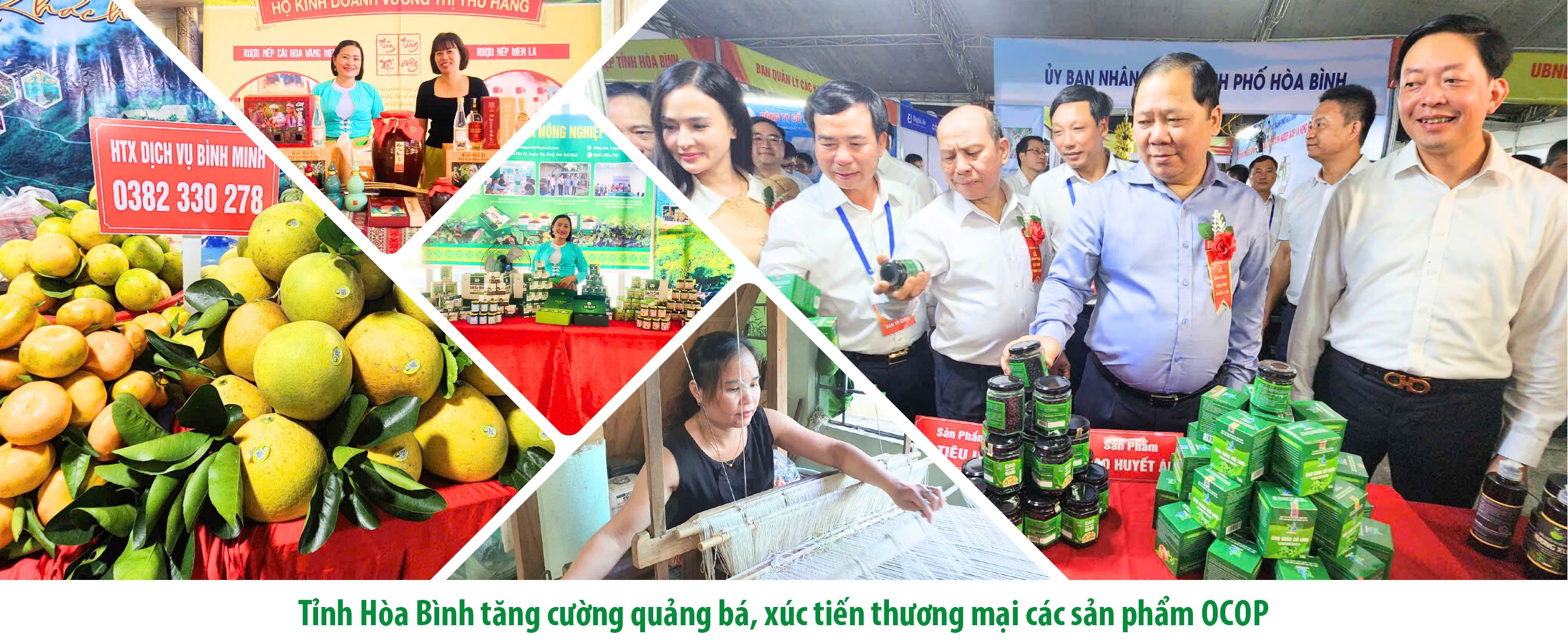 Đưa sản phẩm OCOP thành thương hiệu phát triển bền vững Đưa sản phẩm OCOP thành thương hiệu phát triển bền vững