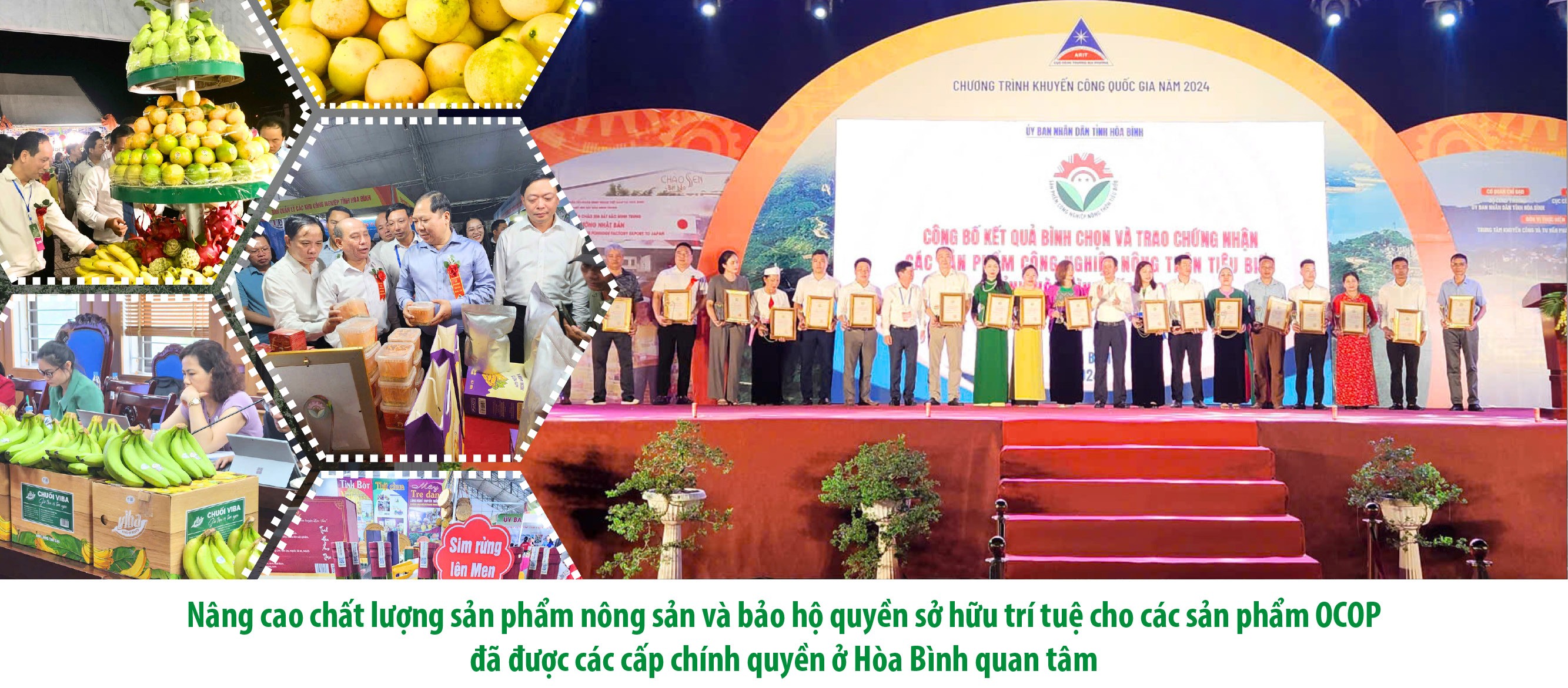 Đưa sản phẩm OCOP thành thương hiệu phát triển bền vững Đưa sản phẩm OCOP thành thương hiệu phát triển bền vững