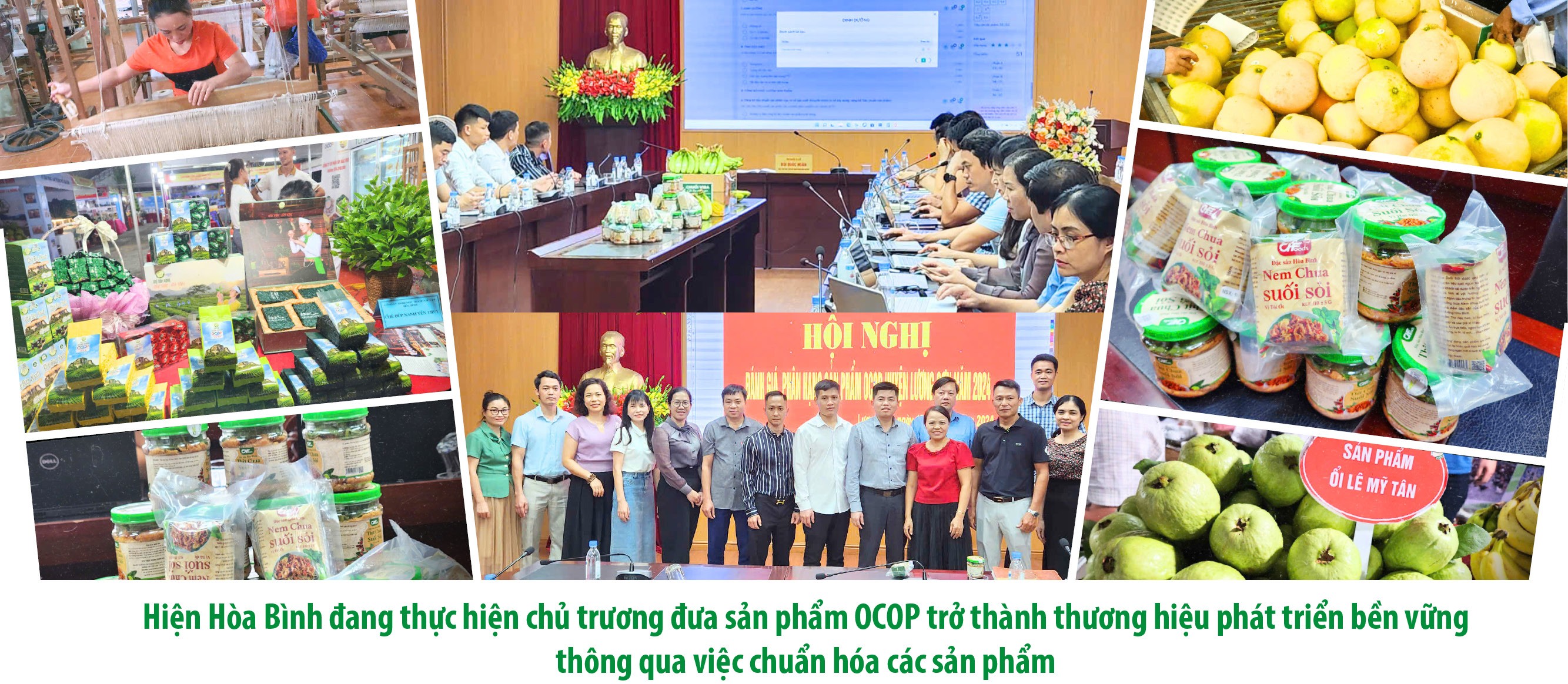 Hòa Bình: Đưa sản phẩm OCOP thành thương hiệu phát triển bền vững Hòa Bình: Đưa sản phẩm OCOP thành thương hiệu phát triển bền vững