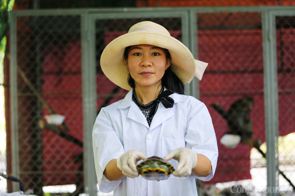 Các cá thể động vật được mạnh khỏe, thả về tự nhiên là niềm vui đối với những cán bộ vườn Quốc gia Vũ Quang Các cá thể động vật được mạnh khỏe, thả về tự nhiên là niềm vui đối với những cán bộ vườn Quốc gia Vũ Quang