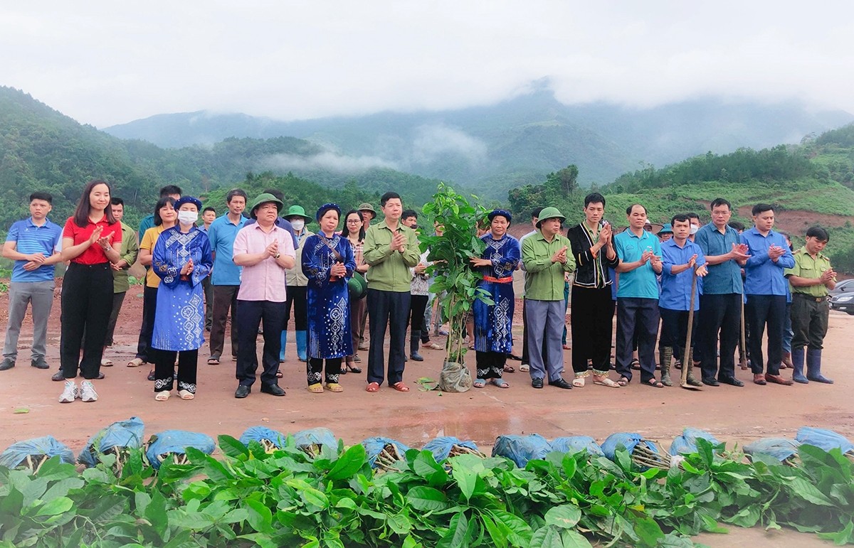 người dân địa phương đã tổ chức trồng cây gỗ lớn phân tán tại khu vực lòng hồ Khe Lừa, xã Lương Mông. người dân địa phương đã tổ chức trồng cây gỗ lớn phân tán tại khu vực lòng hồ Khe Lừa, xã Lương Mông.