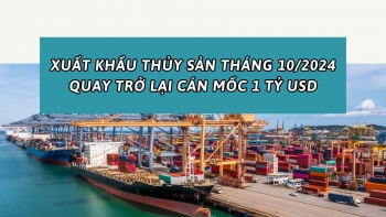 Tháng 10/2024: Xuất khẩu thủy sản 'quay đầu' cán mốc 1 tỷ USD