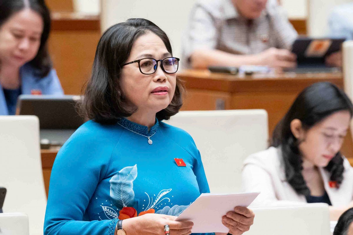 Đại biểu Nguyễn Thị yến- Đoàn Vũng Tàu đánh giá cao về xuất khẩu, đầu tư trực tiếp nước ngoài Đại biểu Nguyễn Thị yến- Đoàn Vũng Tàu đánh giá cao về xuất khẩu, đầu tư trực tiếp nước ngoài