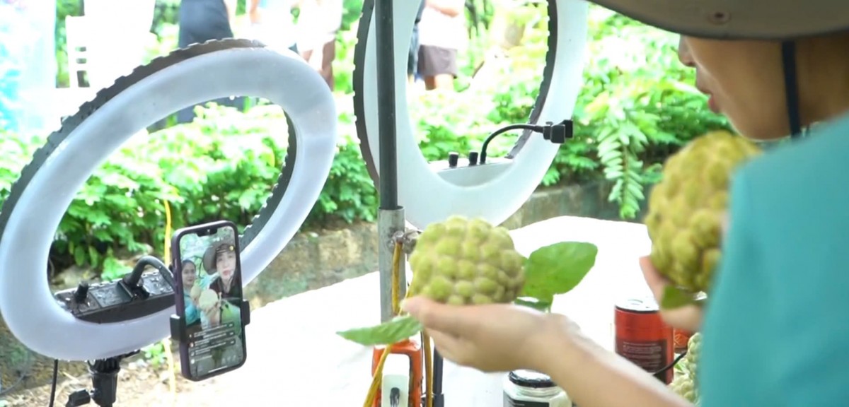 Thương mại điện tử: Kênh tiêu thụ nông sản hiệu quả Thương mại điện tử: Kênh tiêu thụ nông sản hiệu quả