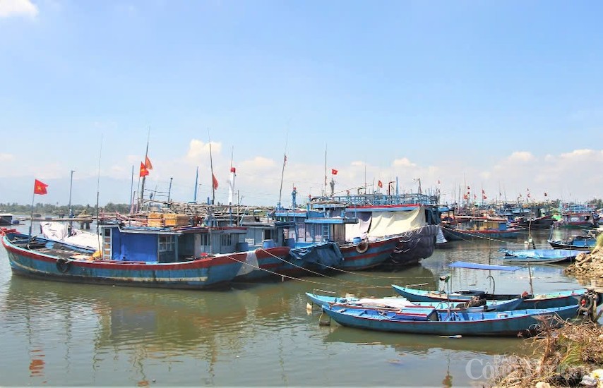 Tỉnh Quảng Nam sẽ hoàn thành đăng ký cấp phép cho 100% tàu cá '3 không' trong tháng 11/2024, truy trách nhiệm lãnh đạo huyện, xã nếu để phát sinh tàu cá '3 không' Tỉnh Quảng Nam sẽ hoàn thành đăng ký cấp phép cho 100% tàu cá '3 không' trong tháng 11/2024, truy trách nhiệm lãnh đạo huyện, xã nếu để phát sinh tàu cá '3 không'