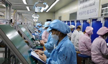 Doanh nghiệp thành lập mới và quay lại hoạt động tăng 11,3%