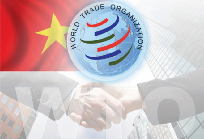 18 năm Việt Nam gia nhập WTO: Bước ngoặt lớn thúc đẩy tăng trưởng xuất khẩu, thu hút FDI 18 năm Việt Nam gia nhập WTO: Bước ngoặt lớn thúc đẩy tăng trưởng xuất khẩu, thu hút FDI
