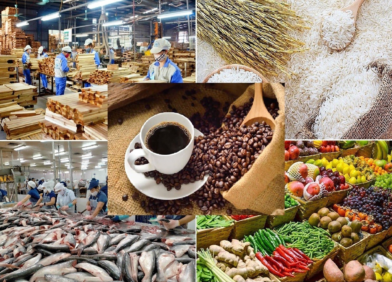 EU công bố danh sách các tổ chức cấp chứng nhận hữu cơ cho sản phẩm nhập từ Việt Nam