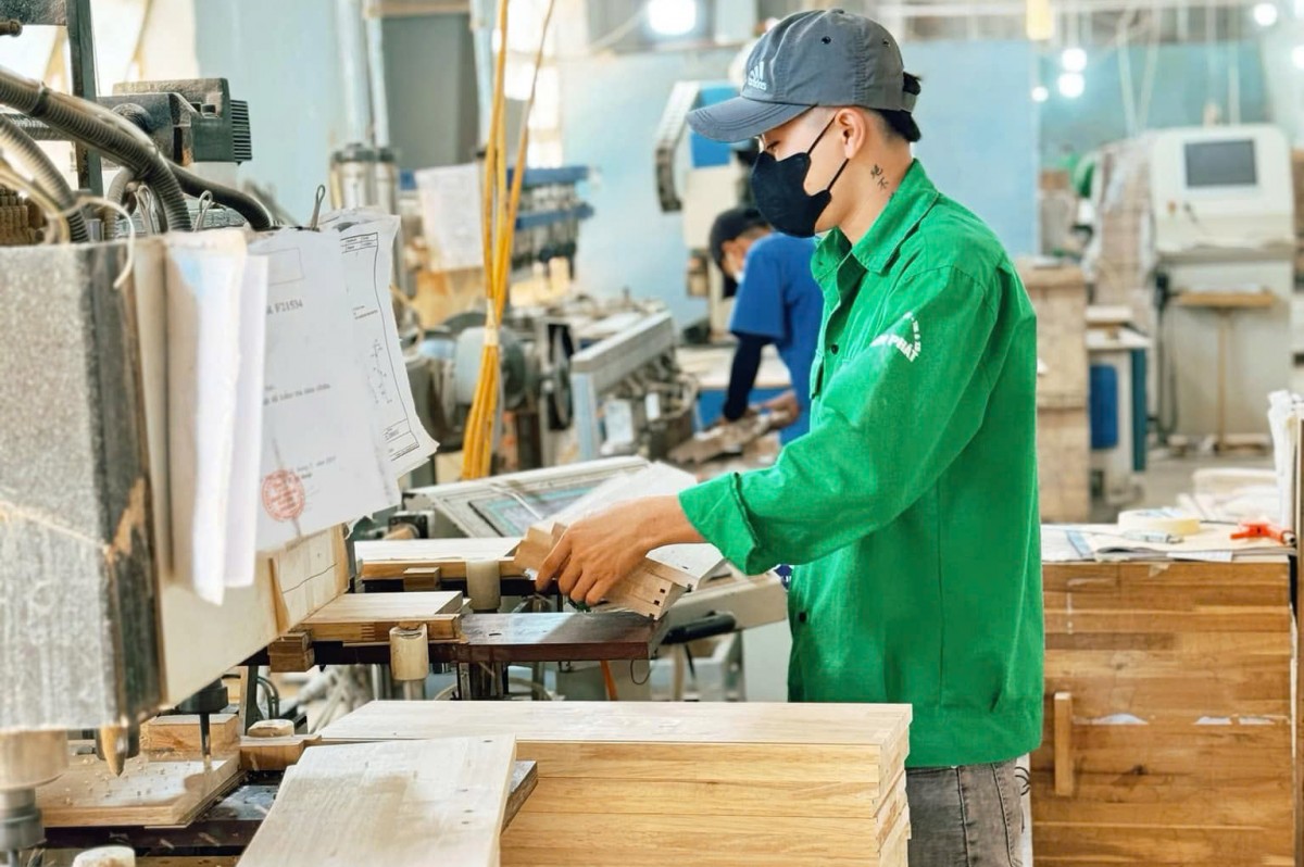 Tỉnh Bình Định hiện có 21 doanh nghiệp công nghiệp hỗ trợ với tổng vốn đăng ký hơn 4.400 tỷ đồng Tỉnh Bình Định hiện có 21 doanh nghiệp công nghiệp hỗ trợ với tổng vốn đăng ký hơn 4.400 tỷ đồng