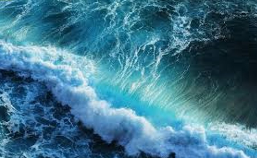 Thời tiết biển hôm nay 9/11: Bão số 7 mạnh nhất, giữ cường độ giật cấp 17, biển động dữ dội Thời tiết biển hôm nay 9/11: Bão số 7 mạnh nhất, giữ cường độ giật cấp 17, biển động dữ dội