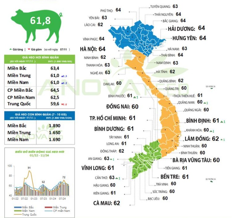Giá heo hơi hôm nay 9/11/2024: Giá heo hơi hôm nay 9/11/2024: