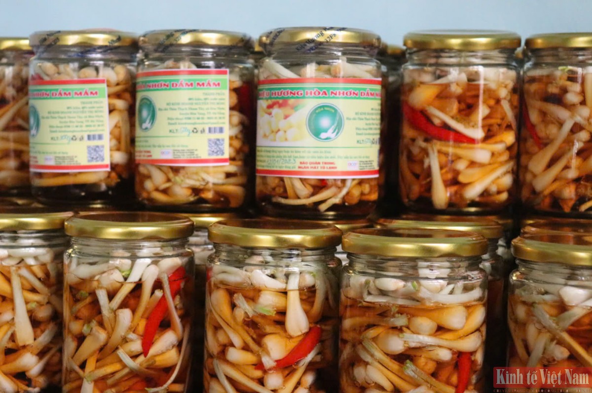 Đà Nẵng: Kiệu hương vào vụ Tết Đà Nẵng: Kiệu hương vào vụ Tết