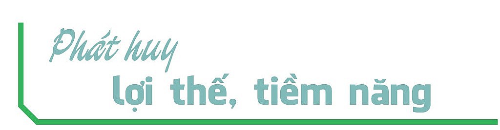 Longform : Hòa Bình và khát vọng vươn lên Longform : Hòa Bình và khát vọng vươn lên