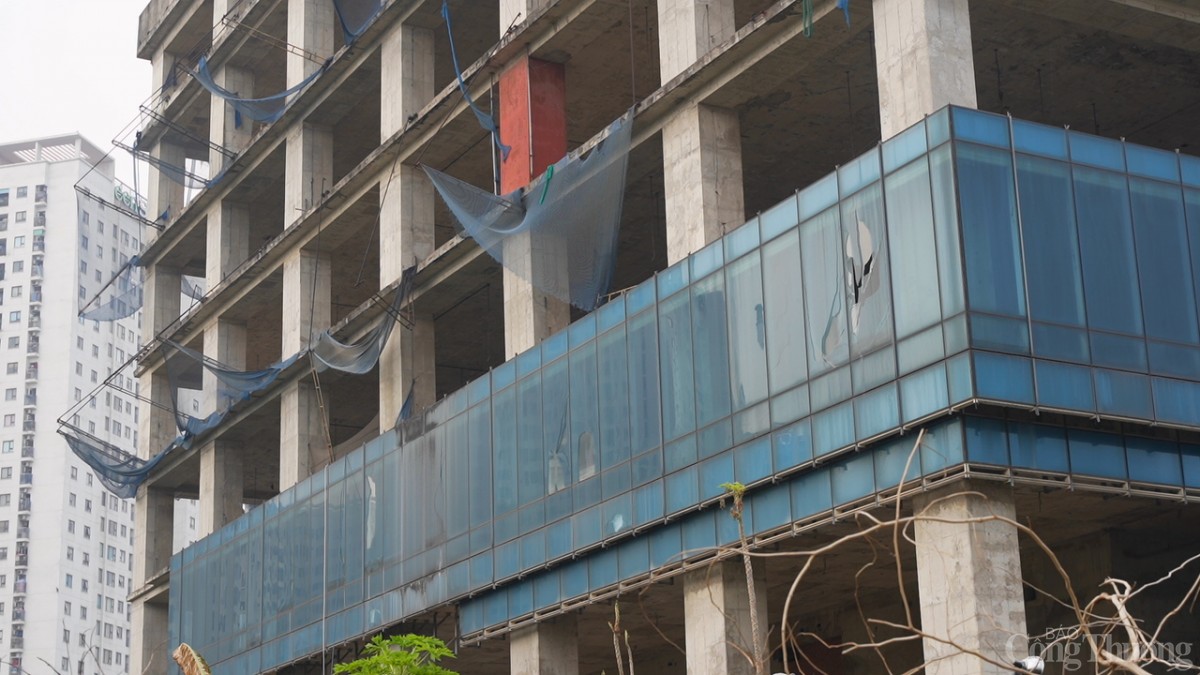 Hà Nội: Hàng loạt tòa cao ốc xây trên 'đất vàng' rồi để cỏ mọc um tùm