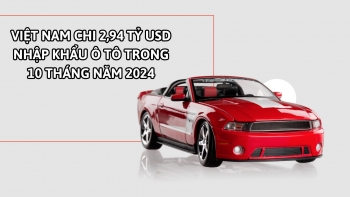 Infographic | Việt Nam chi 2,94 tỷ USD nhập khẩu ô tô trong 10 tháng năm 2024