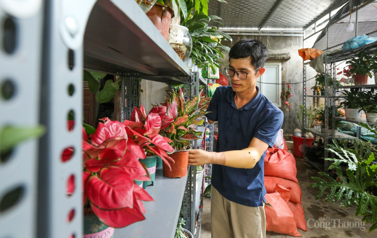 Khu vườn ‘chữa lành’ của chàng thạc sĩ ‘chim cánh cụt’ Khu vườn ‘chữa lành’ của chàng thạc sĩ ‘chim cánh cụt’