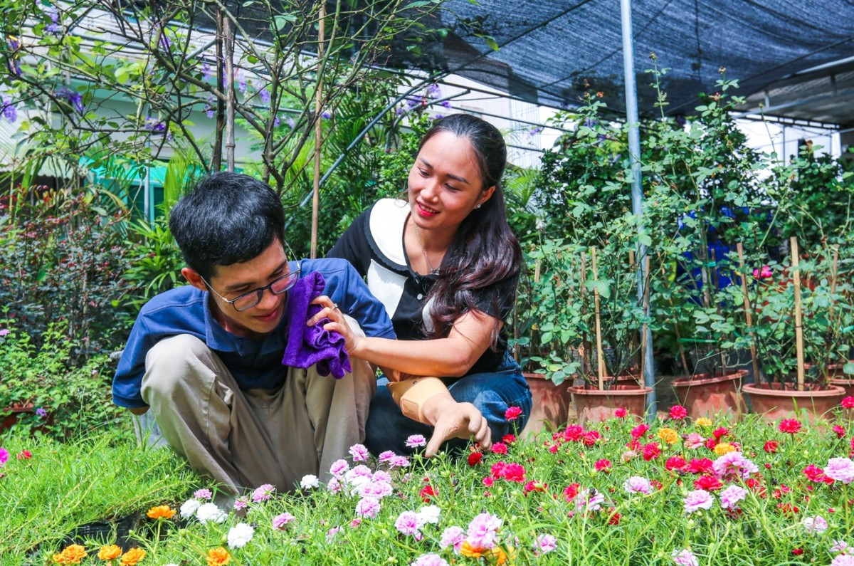 Khu vườn ‘chữa lành’ của chàng thạc sĩ ‘chim cánh cụt’ Khu vườn ‘chữa lành’ của chàng thạc sĩ ‘chim cánh cụt’