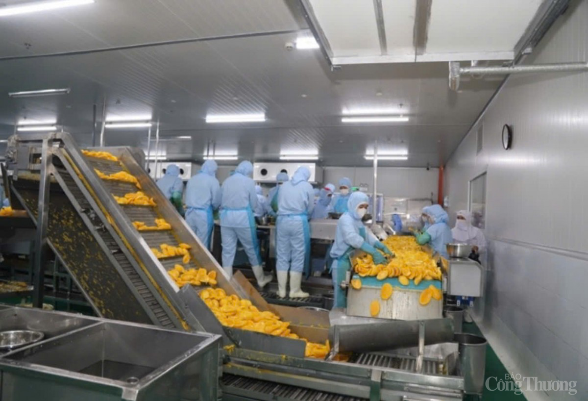 Tình hình xuất khẩu tỉnh Lâm Đồng năm 2024: Mặc dù tăng trưởng, nhưng còn thách thức Tình hình xuất khẩu tỉnh Lâm Đồng năm 2024: Mặc dù tăng trưởng, nhưng còn thách thức