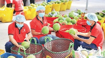 Nâng cao chất lượng nông sản để tận dụng tối đa lợi ích của RCEP