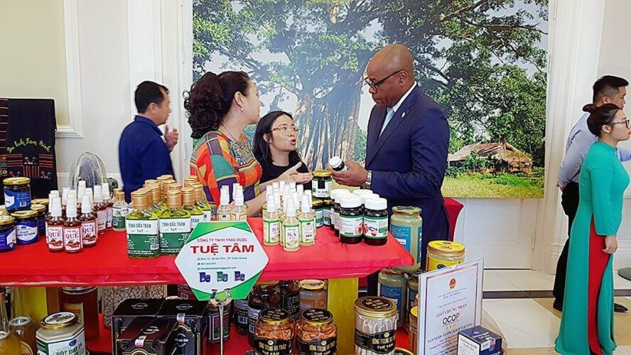 dược liệu tuệ tâm dược liệu tuệ tâm