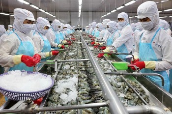 Cạnh tranh trong thị trường RCEP, thủy sản Việt Nam phải làm gì để dẫn đầu?