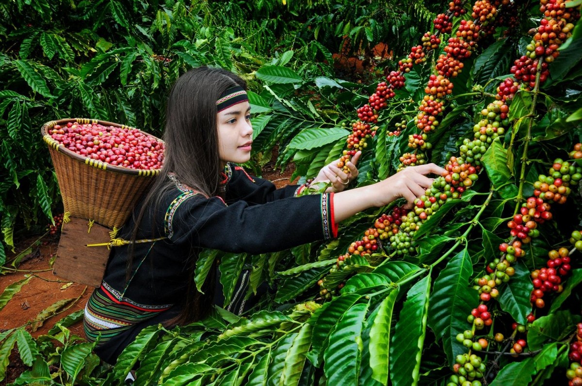 Tích cực triển khai hoạt động tiêu chuẩn, đo lường, SHTT Tích cực triển khai hoạt động tiêu chuẩn, đo lường, SHTT