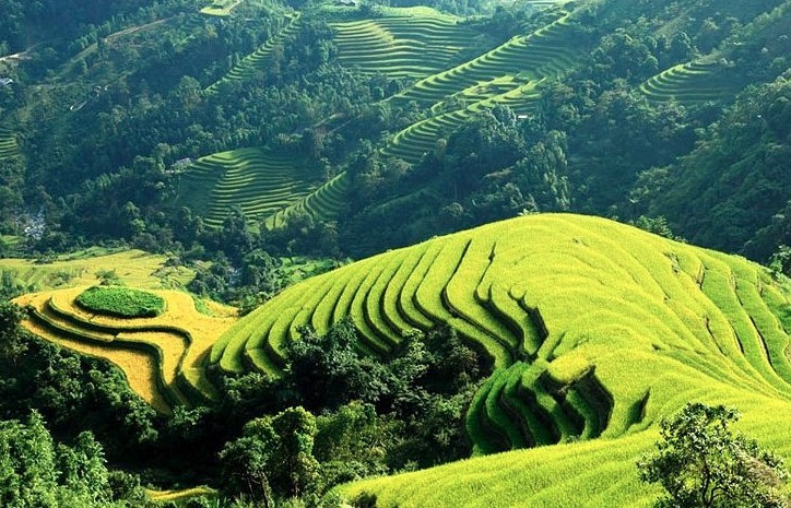 Lào Cai: Phát triển 'Làng du lịch cộng đồng Nghĩa Đô' Lào Cai: Phát triển 'Làng du lịch cộng đồng Nghĩa Đô'