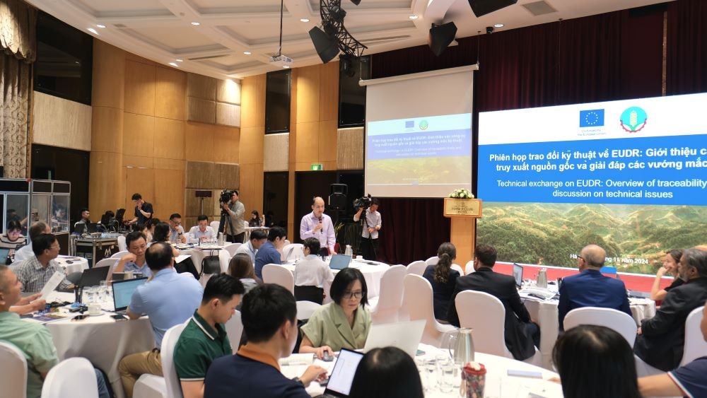 Lùi một năm thực thi EUDR, Việt Nam thêm thời gian đảm bảo chuỗi cung ứng Lùi một năm thực thi EUDR, Việt Nam thêm thời gian đảm bảo chuỗi cung ứng