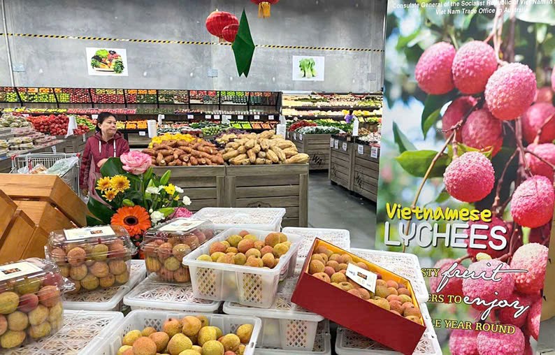 Quảng bá quả vải Việt Nam tại thành phố Perth, bang Tây Australia. Quảng bá quả vải Việt Nam tại thành phố Perth, bang Tây Australia.