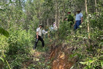 Quảng Ngãi: Công bố tình huống khẩn cấp về thiên tai tại núi Mang Kà Muồng