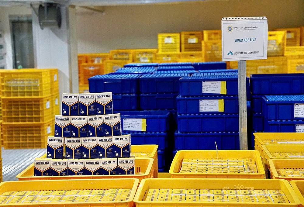 Indonesia trở thành quốc gia thứ ba, sau Việt Nam và Philippines, chính thức cho phép lưu hành vaccine AVAC ASF LIVE Indonesia trở thành quốc gia thứ ba, sau Việt Nam và Philippines, chính thức cho phép lưu hành vaccine AVAC ASF LIVE