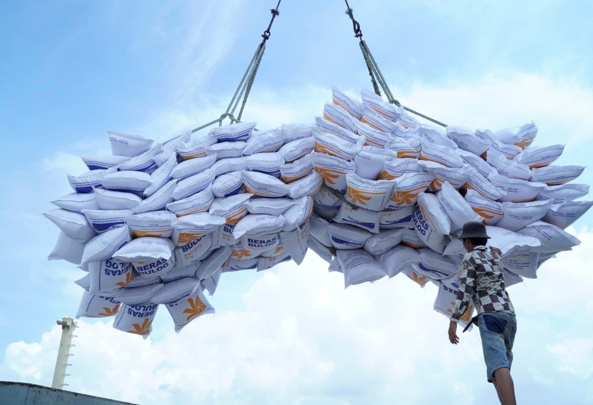 Thời gian qua, hàng hóa xuất khẩu Việt Nam đã gia tăng sự hiện diện tại thị trường Indonesia, nhất là đối với hàng nông sản như gạo, cà phê... Thời gian qua, hàng hóa xuất khẩu Việt Nam đã gia tăng sự hiện diện tại thị trường Indonesia, nhất là đối với hàng nông sản như gạo, cà phê...