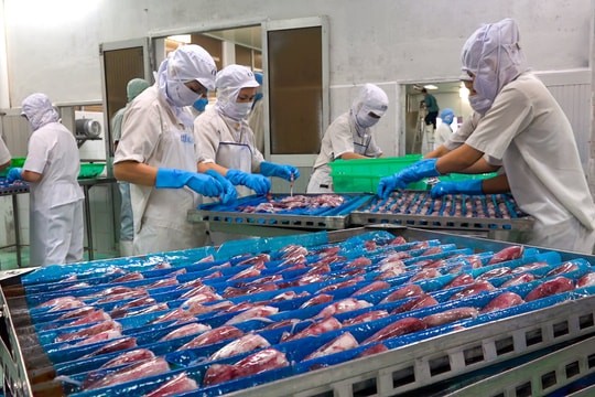 eCDT VN) sẽ giúp doanh nghiệp xuất khẩu thủy sản thuận lợi trong việc xin cấp giấy tờ truy xuất nguồn gốc sản phẩm xuất khẩu