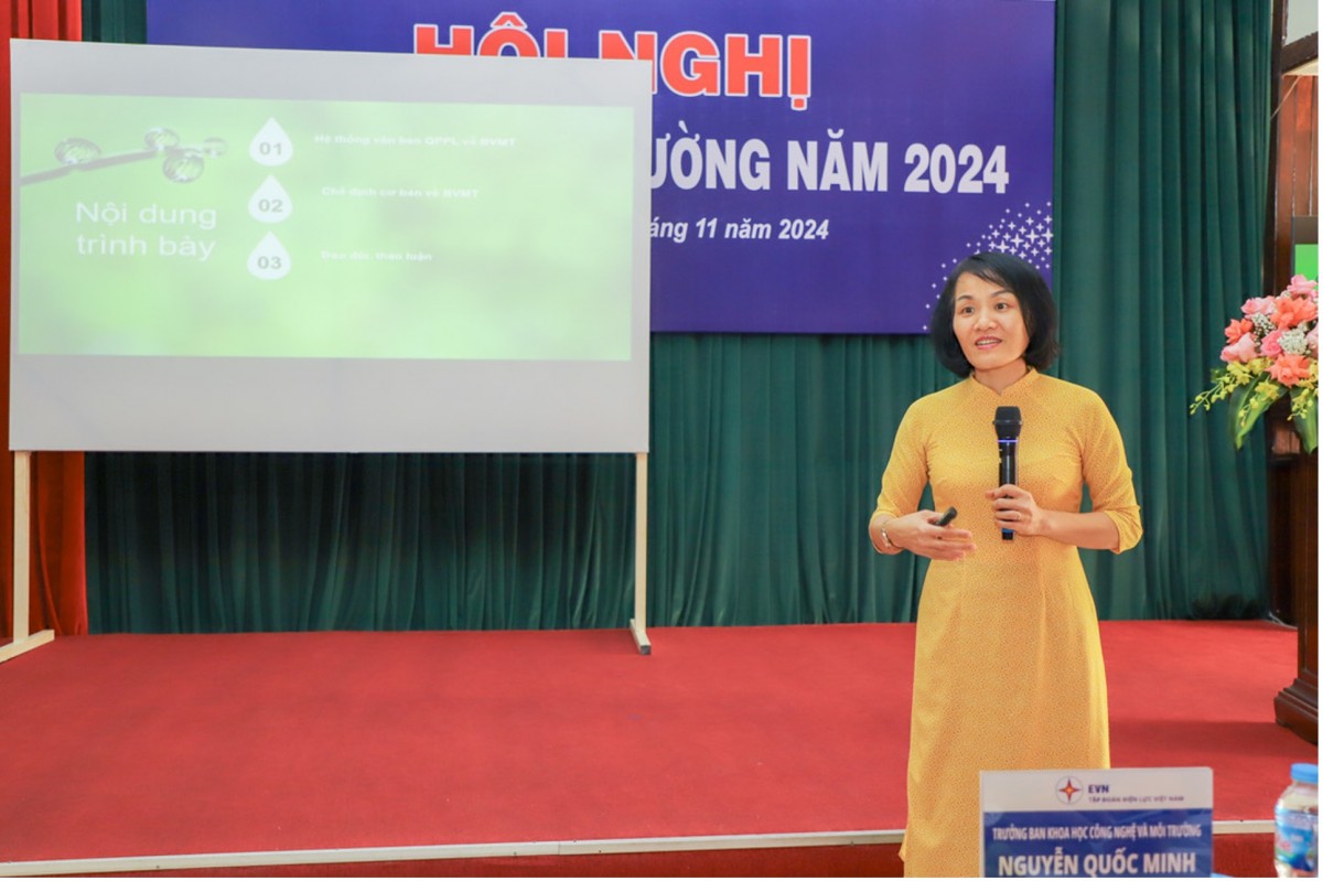 Bà Lê Thị Minh Ánh chia sẻ các nội dung tại Hội nghị