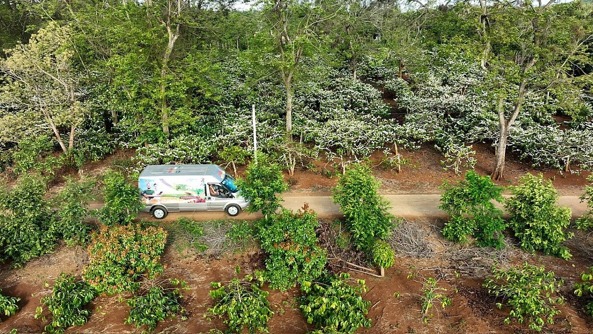 Những giải pháp hay giúp "Thức dậy" những mùa vàng Những giải pháp hay giúp "Thức dậy" những mùa vàng