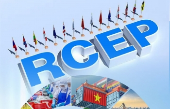 4 năm ký kết Hiệp định RCEP: Cánh cửa mới mở ra cho doanh nghiệp Việt